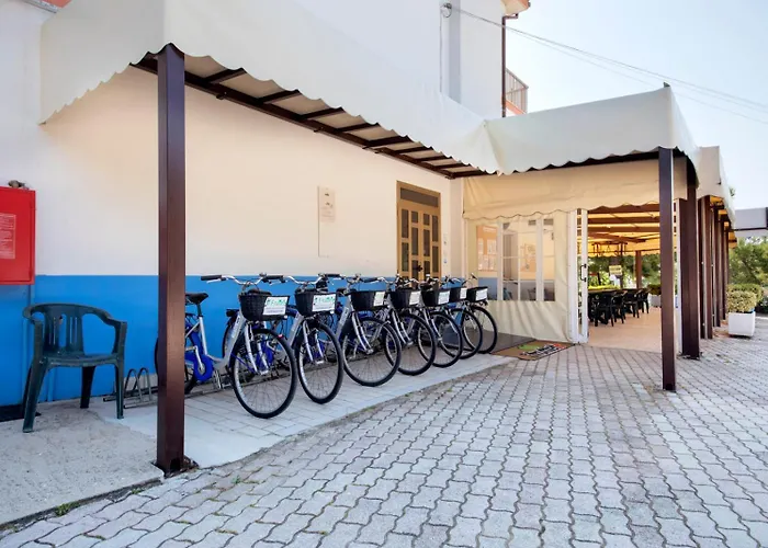 Campeggio Villaggio Il Frutteto *